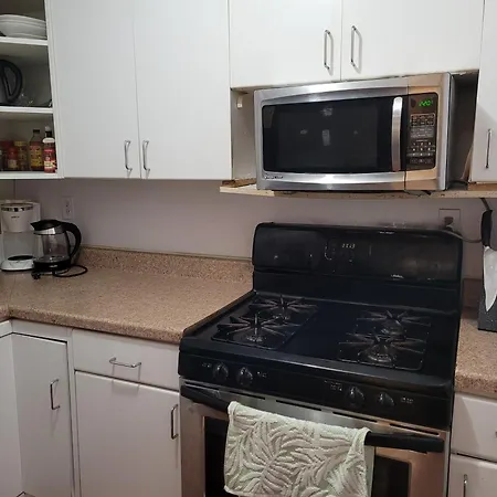Entire 1 Bedroom In Forest Hills Apartment New York