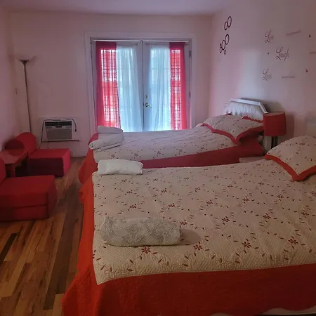 Large 4 Bedrooms 2 Baths In Rego Park New York