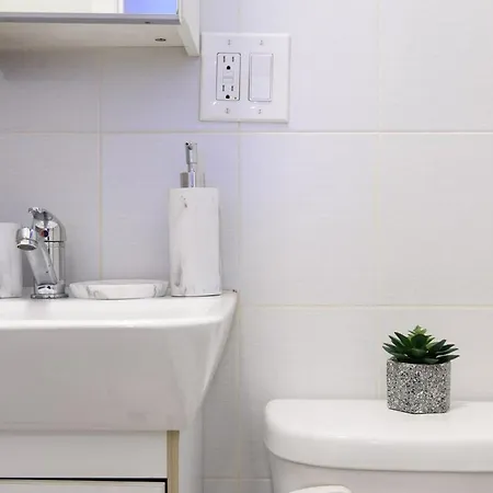 83-3w Ues Park Newly Furnished Xl New York