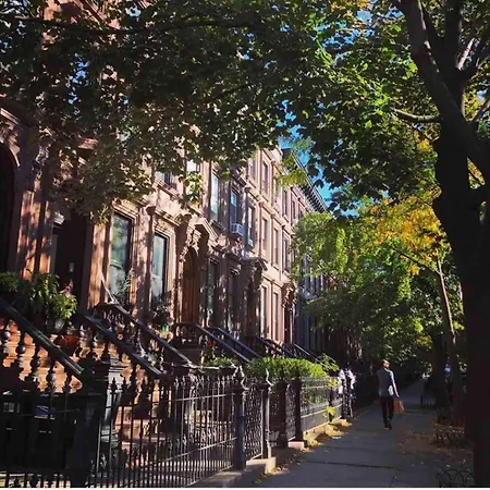 Brooklyn Modern *