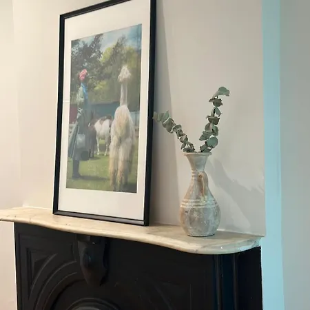 Brooklyn Modern *