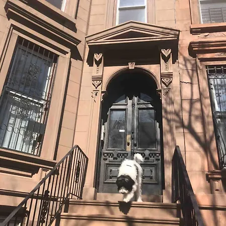 Brooklyn Charming New York
