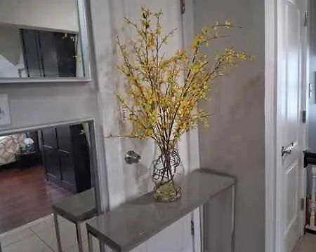 Apartment Cozy In Kew Gardens 20 Minutes To Midtown Manhattan *