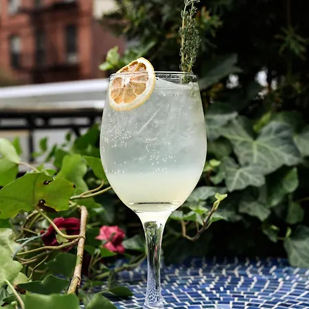 The Tillary Brooklyn New York