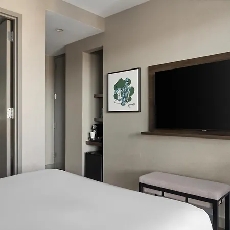 The Bernic City,tapestry Collection By Hilton Hotel