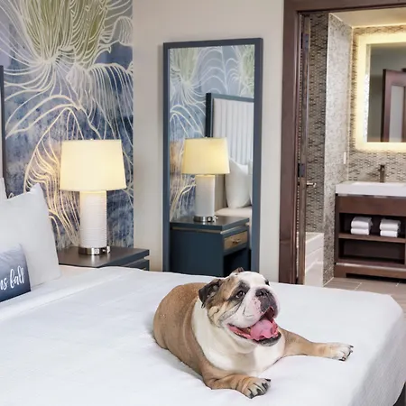 Indigo Flushing - Laguardia By Ihg Hotel 4*