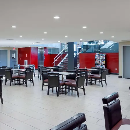 Comfort & Near Stadium Hotel 4*