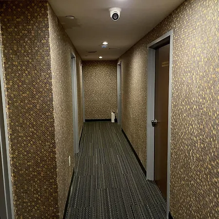 Mimosa Hotel New York