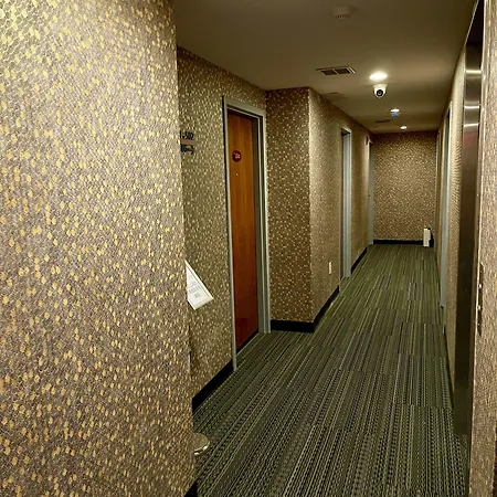Hotel Mimosa New York