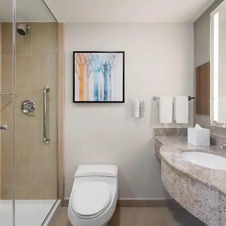 Hotel Hilton Garden West 35th Street New York