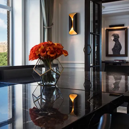 Hotel The Ritz-carlton New York, Park