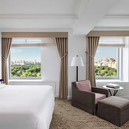 The Ritz-carlton New York, Park 5*