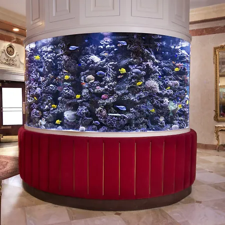 Hotel The Kimberly 4*