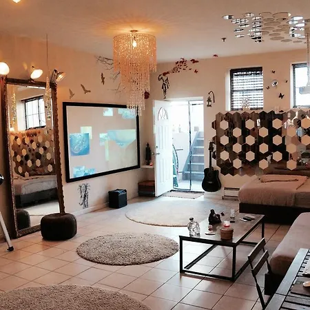 2 Open Loft With Private Backyard Apartment *