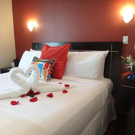 Hotel Nesva - Vista (adults Only)