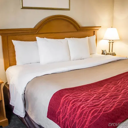 Comfort Jfk Airport Hotel