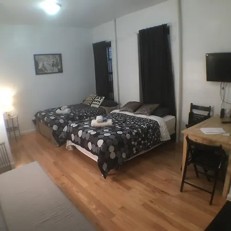 Renovated Studio Loft Downtown Nyc #43 New York