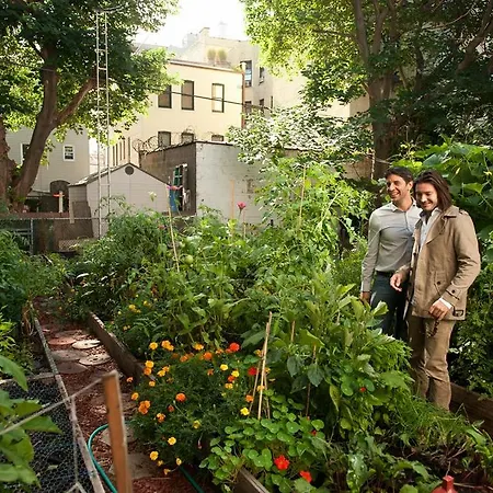 Apartment Modern/rustic Garden New York