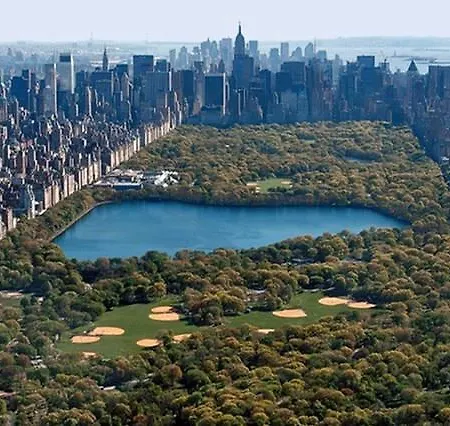 Cozy Near Park New York