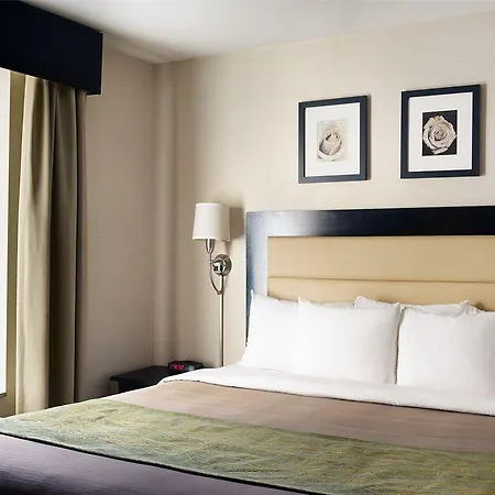 Hotel Comfort Times Square South Area New York