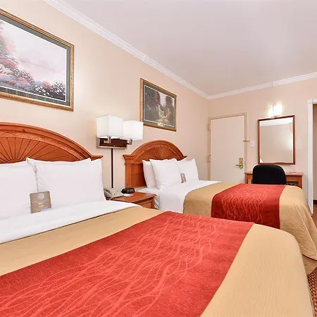 Hotel Comfort Chelsea 2*