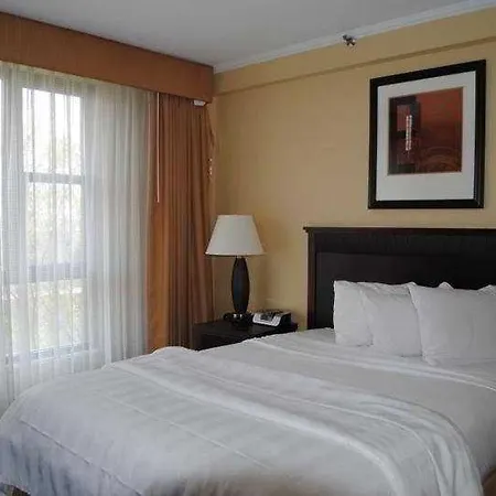 Garden & - Jfk Hotel 3*
