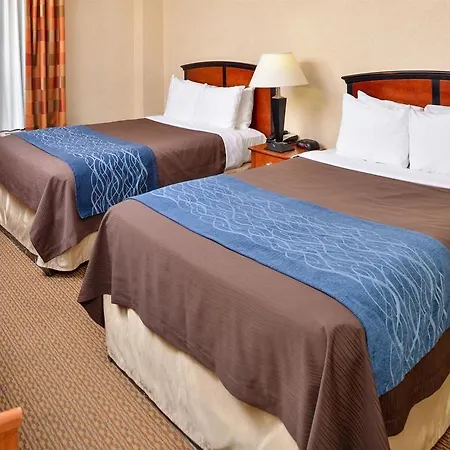Red Lion And Brooklyn Hotel 3*