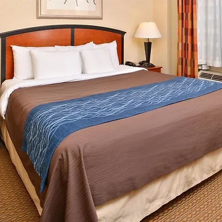 Red Lion And Brooklyn Hotel