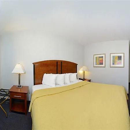 Lexington 2*
