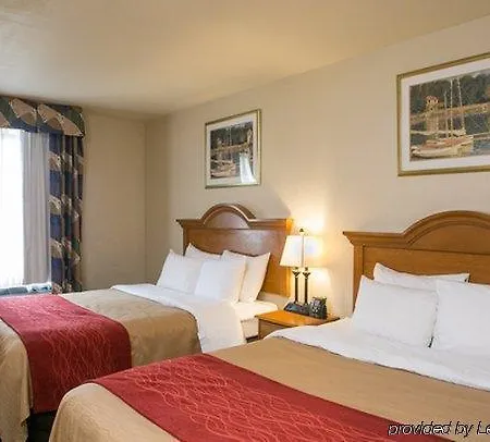 Comfort Jfk Airport Hotel New York