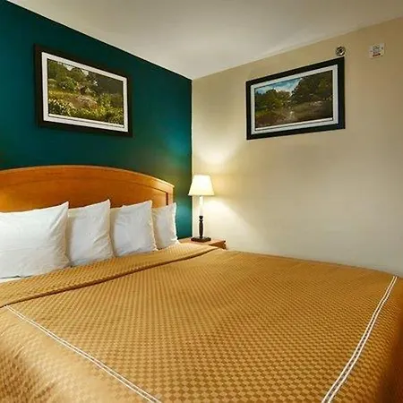 Midtown Convention Center Nyc Hotel New York