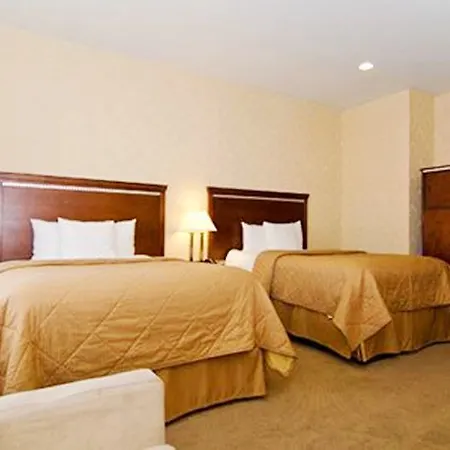 Comfort Manhattan Bridge Hotel New York