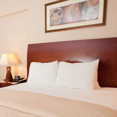 Hotel Wingate By Wyndham Manhattan Midtown New York
