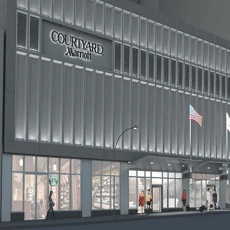Hotel Courtyard By Marriott Long Island City/new York Manhattan View 3*