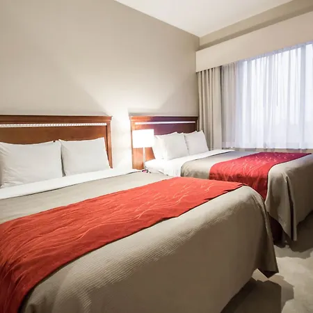 Hotel Comfort Manhattan Bridge New York