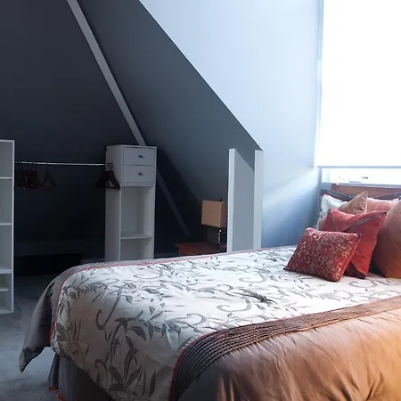 The Brooklyn Mansion Apartment *
