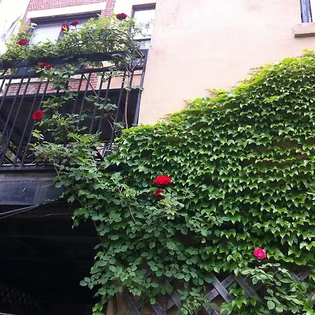 Two Bedroom Suite-harlem Apartment *