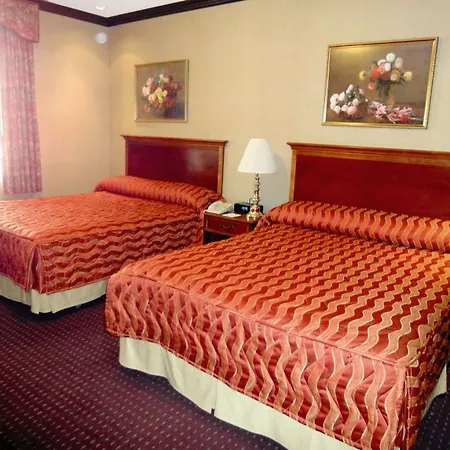 Hotel Newton 3*
