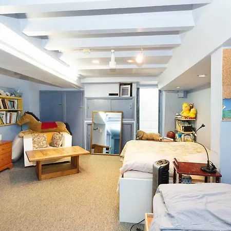 Park Slope Apartment