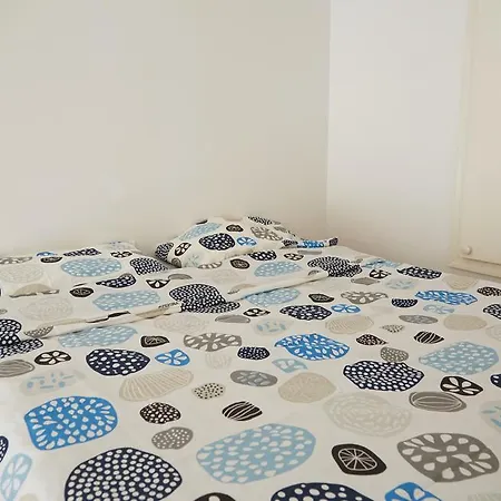 Apartment Sunny Studio In The Heart Of Bklyn