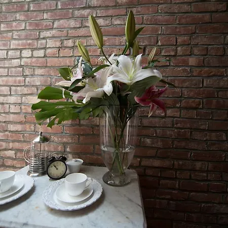 Candy Hill Harlem Bed & Breakfast New York