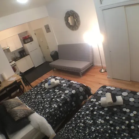 Renovated Studio Loft Downtown Nyc #43 Apartment New York