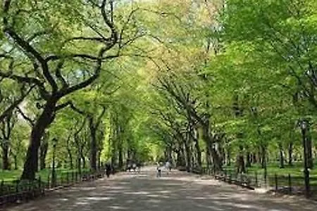 Midtown Manhattan -the Perfect Location And Place❤ Apartment *