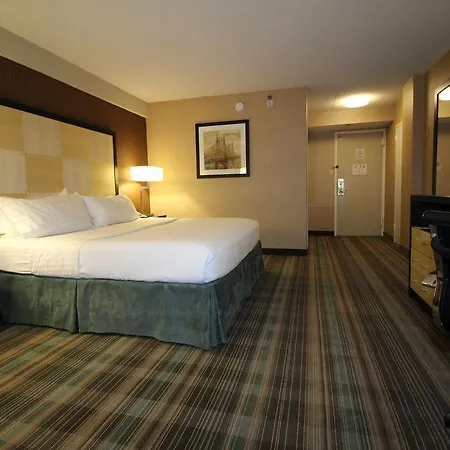 The Watson New York