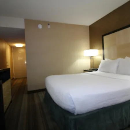 The Watson New York