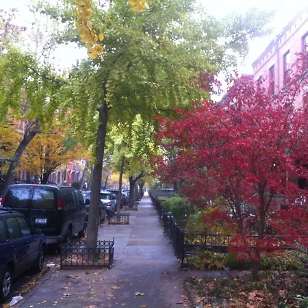 Great Cozy Apt Apartment New York