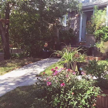 Sunny Three Bedroom House *