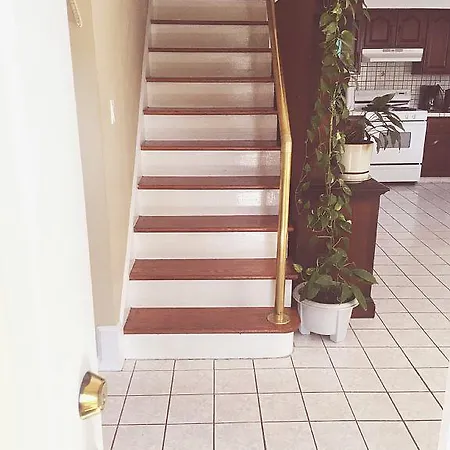 Sunny Three Bedroom House Holiday home New York