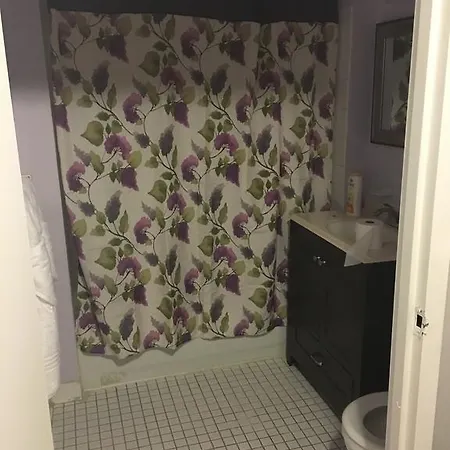 Duplex In Brooklyn Apartment *