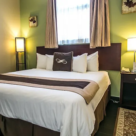Hotel Pointe Plaza (adults Only) New York